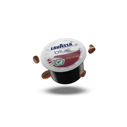 Capsule Lavazza Blue Espresso Voix de la Terre – 100 Capsule